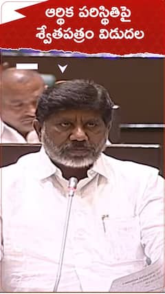 శాసనసభలో శ్వేతపత్రం విడుదల చేసిన ఉపముఖ్యమంత్రి భట్టివిక్రమార్క