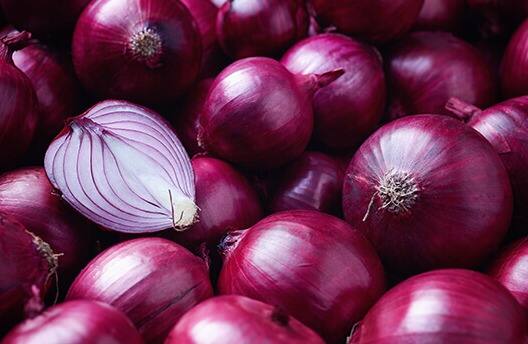 केंद्र सरकारनं सरकारने 7 डिसेंबर रोजी कांद्याच्या निर्यातीवर बंदी घातली होती. यानंतर घाऊक बाजारात कांद्याचे भाव जवळपास 50 टक्क्यांनी घसरले आहेत