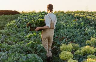 Regenerative Agriculture: ਜਲਵਾਯੂ ਸੰਕਟ ਨਾਲ ਨਜਿੱਠਣ ਲਈ ਕਰੋ ਪੁਨਰ-ਜਨਕ ਖੇਤੀ, ਜਾਣੋ ਕਿਵੇਂ ਕਰਨਾ ਪਾਣੀ ਦਾ ਸਹੀ ਪ੍ਰਬੰਧ