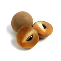 Chickoo Benefits: પોષક તત્વથી ભરપૂર આ ફળ કોલેજન બૂસ્ટ કરતું હોવાથી સેવનથી સ્કિન રહે છે એવરયંગ