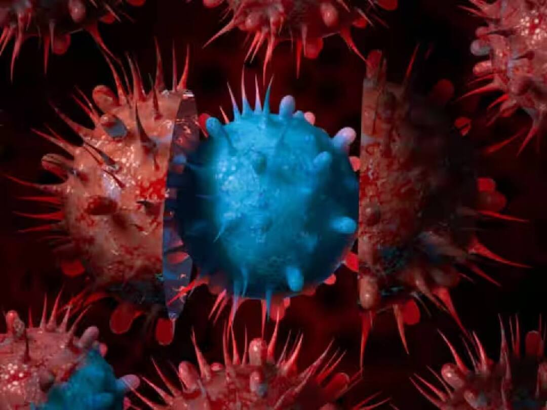 Corona JN.1: உலகளவில் வேகமாக பரவும் கொரோனா JN.1 மாறுபாடு!  உலக சுகாதார அமைப்பு சொன்ன தகவல் என்ன?