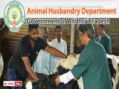 ఏనిమల్ హస్బెండరీ అసిస్టెంట్ పరీక్ష తేదీ వెల్లడి, హాల్‌టికెట్లు ఎప్పటినుంచంటే?