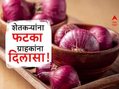 सरकारचा प्लॅन! ग्राहकांना दिलासा शेतकऱ्यांना फटका; कांदा निर्यातबंदीनंतर दरात मोठी घसरण