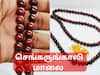 Sengarungali Malai: செங்கருங்காலி மாலையால் இத்தனை பயன்களா? யாரெல்லாம் அணியலாம்? முழு விவரம்