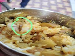 Bhavnagar: બાલમંદિર આંગણવાડીમાં બાળકોને પીરસાતા ભોજનમાં નીકળી ઈયળ, લાપસી પણ ગુણવત્તા વગરની