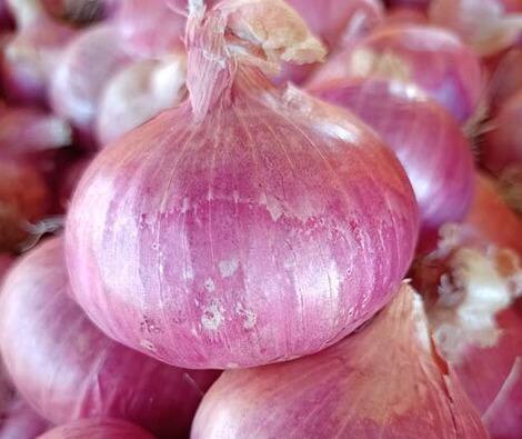 खरीप कांद्याचा पुरवठा वाढल्यानं येत्या आठवडाभरात भाव स्थिर राहण्याची किंवा किंचित घट होण्याची शक्यता व्यापाऱ्यांनी व्यक्त केली आहे.