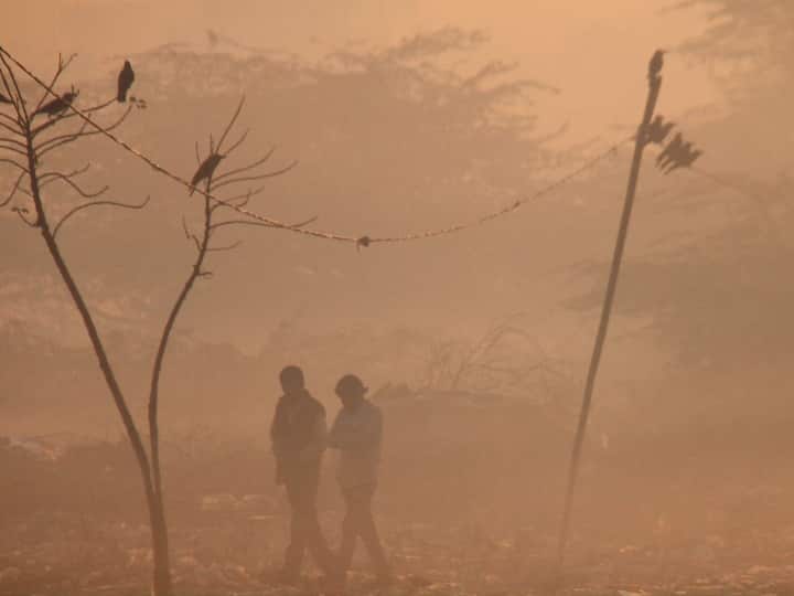 सर्दी का बढ़ता सितम, हरियाणा के 15 जिलों में धुंध का कहर, पंजाब के 9 शहरों शिमला से भी ठंडे