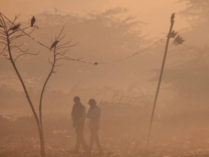 Weather Today: सर्दी का बढ़ता सितम, हरियाणा के 15 जिलों में धुंध का कहर, पंजाब के 9 शहर शिमला से भी ज्यादा ठंडे Haryana Punjab Weather Update Today 20 December temperature dropped cold Chandigarh Ambala Patiala Ludhiana ka Mausam Weather Today: सर्दी का बढ़ता सितम, हरियाणा के 15 जिलों में धुंध का कहर, पंजाब के 9 शहर शिमला से भी ज्यादा ठंडे