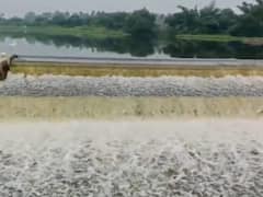கரூர் அமராவதி ஆற்றின் துணை ஆறுகளின் உபரி நீர் வெளியேற்றம்