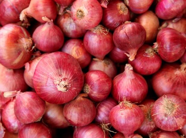 सध्या कांद्याच्या (Onion)  मुद्यावरुन राज्यातील वातावारण चांगलचं तापलं आहे. कारण केंद्र सरकारनं कांद्याच्या निर्यातीवर बंदी (Onion Export Ban) घातली आहे.
