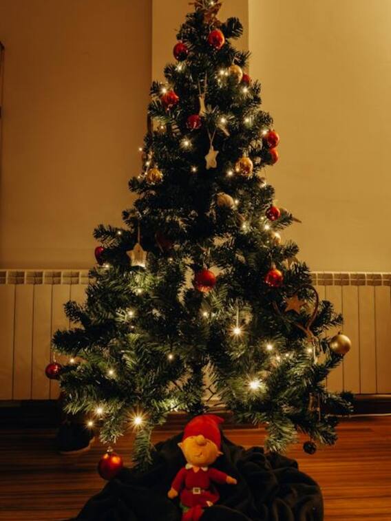 ईसाइयों के लिए क्यों खास है क्रिसमस ट्री?