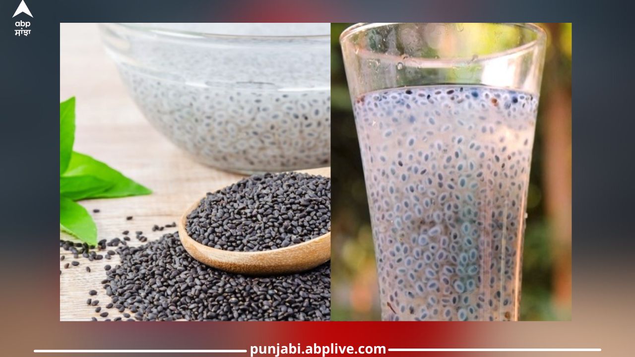 Drinking water of Tulsi seeds will provide many benefits and cures