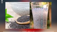 Basil Seed Water benefits: ਤੁਲਸੀ ਦੇ ਬੀਜਾਂ ਦਾ ਪਾਣੀ ਪੀਣ ਨਾਲ ਬਹੁਤ ਸਾਰੇ ਫਾਇਦੇ ਅਤੇ ਕਈ ਬਿਮਾਰੀਆਂ ਹੋ ਜਾਣਗੀਆਂ ਛੂ ਮੰਤਰ
