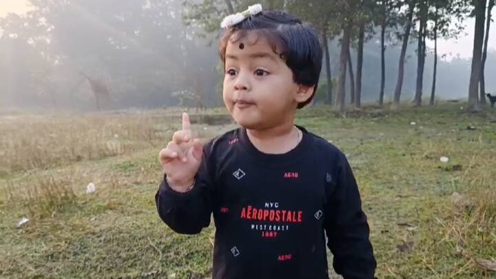 মেয়ের এই ক্ষমতা দেখার পরেই তার বাবা ভেবেছিলেন, এর কোনও স্বীকৃতির জন্য চেষ্টা করা উচিত। মাস ছয়েক আগে 'ইন্ডিয়া বুক অফ রেকর্ডস'-এর জন্য আবেদন করেন আরাধ্যার বাবা পেশায় প্রাথমিক শিক্ষক বিজয় পাল।