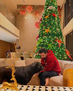 Dev: ক্রিসমাস আর জন্মদিনের মধ্যেই ছবি মুক্তির ব্যস্ততা, কীভাবে সবটা সামলাচ্ছেন দেব?