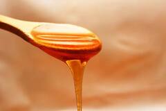 Honey Purity Check : நீங்க பயன்படுத்தும் தேன் சுத்தமானதா? தெரிந்து கொள்ள இதை செய்து பாருங்க!