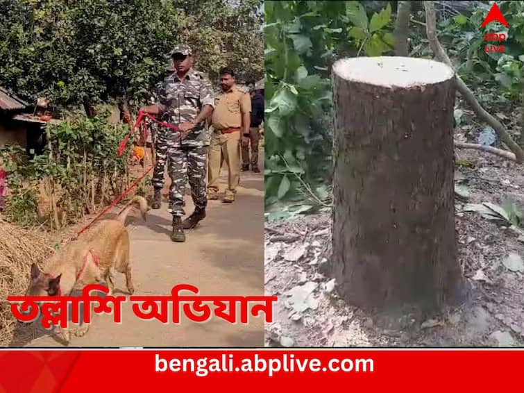 Jhargram Forest Department takes help of Sniffer dogs to catch tree smugglers Jhargram News: হাতির হামলাকে কাজে লাগিয়ে শালবন লোপাট, স্নিফার ডগ এনে তল্লাশি ঝাড়গ্রামে