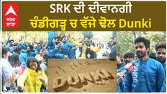 Dunki Movie Celebration In Chandigarh | Shahrukh khan | Public Review | SRK | King Khan