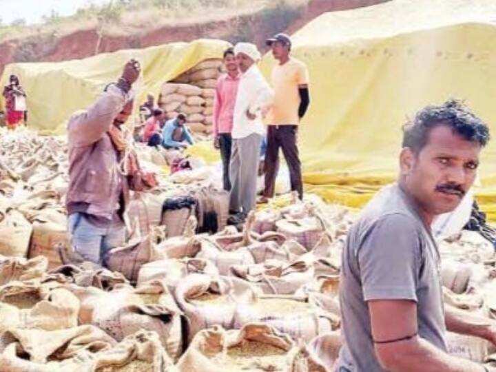 Due to paddy purchase limit, farmers are returning without deducting tokens, expressed displeasure over irregularities Ann Chhattisgarh: कोरबा में धान की खरीदी पर लिमिट से परेशान किसान, बिना टोकन कटाए वापस लौटे, जिसने बेचे वो खुद बने हमाल
