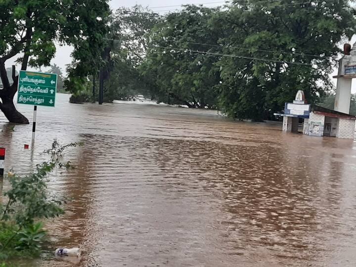 கடந்த சில நாட்களுக்கு  முன் திருநெல்வேலி, தூத்துக்குடி, தென்காசி உள்ளிட்ட பகுதிகளில் கன மழை கொட்டி தீர்த்தது.