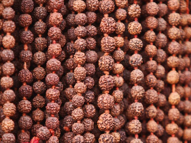 Rudraksha Faces and Nakshatra How to Check Identify Original Fake Rudraksha Beads in Tamil ABPP Rudraksha: ருத்ராட்சம் உண்மையானதா? போலியானதா? எப்படி கண்டுபிடிப்பது தெரியுமா?