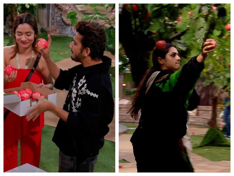 Bigg Boss 17 Preview: Munawar Faruqui And Ayesha Khan’s Chemistry And Captaincy Task Steal The Show Bigg Boss 17: Munawar Faruqui And Ayesha Khan’s Chemistry And Captaincy Task Steal The Show