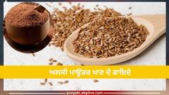 Flax Seeds Powder Benefits: ਅਲਸੀ ਪਾਊਡਰ ਖਾਣ ਦੇ ਫਾਇਦੇ...ਜਾਣੋ ਕਿਸ ਸਮੇਂ ਖਾਣ ਨਾਲ ਮਿਲਦਾ ਜ਼ਿਆਦਾ ਫਾਇਦਾ
