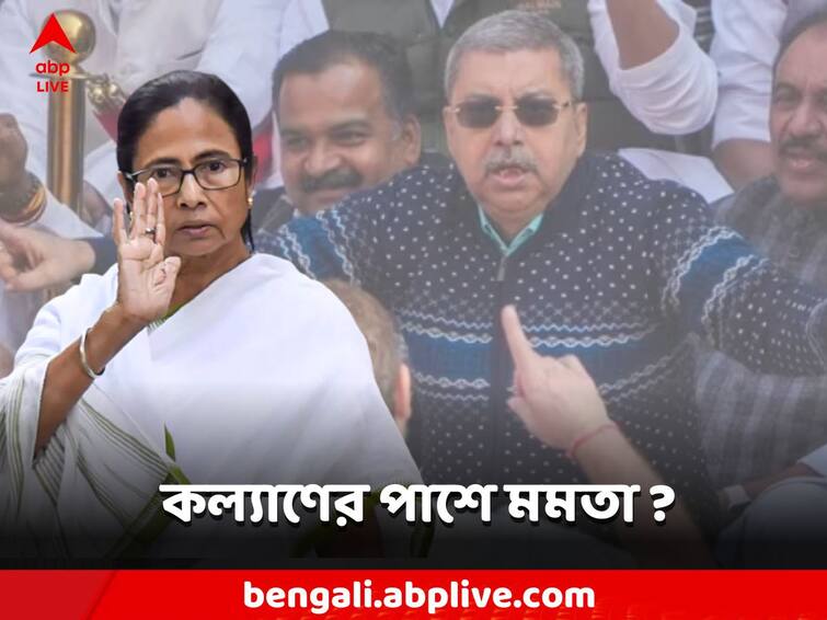 Mamata Banerjee On Mimicry Row Had Rahul Gandhi Not Taken A Video Mamata Banerjee: 'রাহুল গাঁধী ভিডিও না করলে জানতেনই না', কল্যাণ-বিতর্কে মন্তব্য মমতার