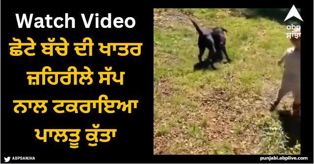 toddler mistakes snake for twig throws for pet dog to fetch video viral Viral Video: ਛੋਟੇ ਬੱਚੇ ਦੀ ਖਾਤਰ ਜ਼ਹਿਰੀਲੇ ਸੱਪ ਨਾਲ ਟਕਰਾਇਆ ਪਾਲਤੂ ਕੁੱਤਾ, ਮਾਸੂਮ ਲਈ ਖ਼ਤਰੇ 'ਚ ਪਾਈ ਜਾਨ