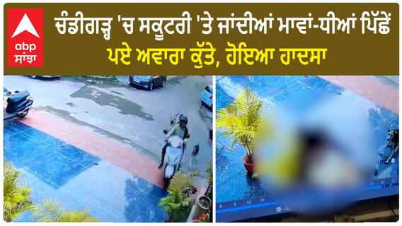 Stray Dog| ਚੰਡੀਗੜ੍ਹ 'ਚ ਸਕੂਟਰੀ 'ਤੇ ਜਾਂਦੀਆਂ ਮਾਵਾਂ-ਧੀਆਂ ਪਿੱਛੇ ਪਏ ਅਵਾਰਾ ਕੁੱਤੇ, ਹੋਇਆ ਹਾਦਸਾ