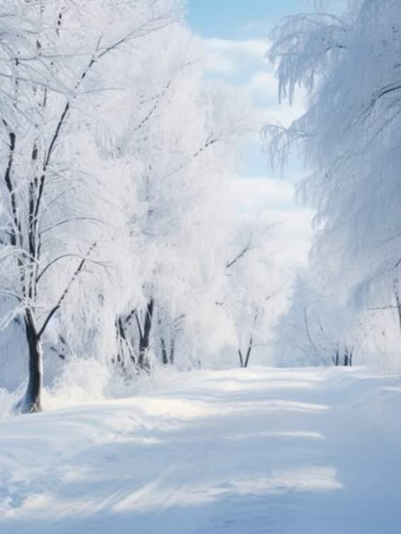 5000 खर्च करके यहां देख सकते हैं स्नोफॉल