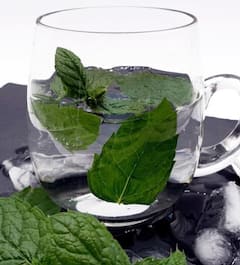 Basil Seed Water benefits: ਤੁਲਸੀ ਦੇ ਬੀਜਾਂ ਦਾ ਪਾਣੀ ਪੀਣ ਨਾਲ ਬਹੁਤ ਸਾਰੇ ਫਾਇਦੇ ਅਤੇ ਕਈ ਬਿਮਾਰੀਆਂ ਹੋ ਜਾਣਗੀਆਂ ਛੂ ਮੰਤਰ