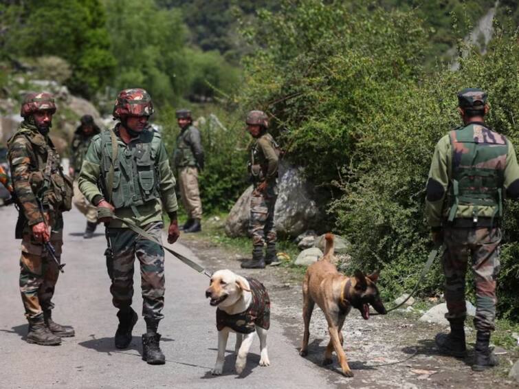 Army Truck attacked by Terrorists In Jammu And Kashmir's Poonch జమ్ముకశ్మీర్‌లో ఆర్మీ వాహనంపై ఉగ్రదాడి, సైనికులు ఉగ్రవాదుల మధ్య కాల్పులు