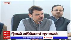 Devendra Fadnavis : Uddhav Thackeray यांचं दर्शन झालं हेच फलित, फडणवीसांची कोपरखळी