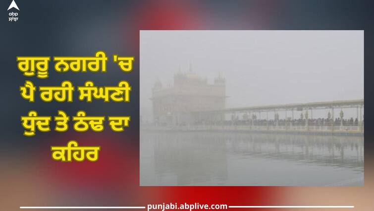Amritsar News: Dense fog falling in Guru Nagari and cold fury punjab weather Amritsar News: ਗੁਰੂ ਨਗਰੀ 'ਚ ਪੈ ਰਹੀ ਸੰਘਣੀ ਧੁੰਦ ਤੇ ਠੰਢ ਦਾ ਕਹਿਰ! 