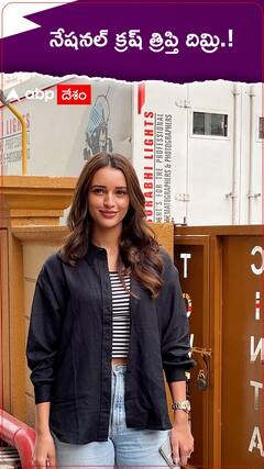 నయా నేషనల్ క్రష్ త్రిప్తి దిమ్రి.!