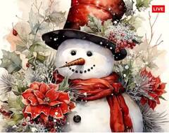 Christmas 2023: ਕ੍ਰਿਸਮਿਸ ‘ਤੇ ਇਨ੍ਹਾਂ ਚੀਜ਼ਾਂ ਨਾਲ ਸਜਾਓ ਆਪਣਾ ਘਰ, ਜਾਣੋ ਕ੍ਰਿਸਮਿਸ ‘ਤੇ ਇਸ ਦਾ ਮਹੱਤਵ