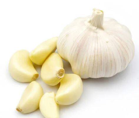 महाराष्ट्र, गुजरात आणि मध्य प्रदेश ही मुख्य लसूण उत्पादक राज्ये आहेत. येथील अवकाळी पावसाचा लसूण पिकावर विपरीत परिणाम झाला आहे.