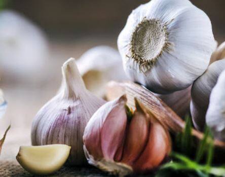 प्रथमत: यंदा खराब हवामानामुळे लसूण पिकाचे मोठे नुकसान झाले आहे. त्याचा उत्पादनावर विपरीत परिणाम झाला आहे.