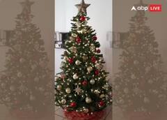 Christmas 2023: ਕ੍ਰਿਸਮਿਸ ‘ਤੇ ਇਨ੍ਹਾਂ ਚੀਜ਼ਾਂ ਨਾਲ ਸਜਾਓ ਆਪਣਾ ਘਰ, ਜਾਣੋ ਕ੍ਰਿਸਮਿਸ ‘ਤੇ ਇਸ ਦਾ ਮਹੱਤਵ