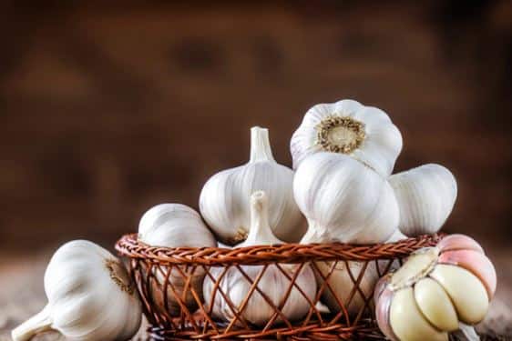 डाळी, तांदूळ आणि कांद्याच्या वाढत्या किमतींमुळं आधीच लोकांचे  बजेट कोलमडले आहे.  अशातच सरकारनं कांद्याच्या निर्यातीवर बंदी घातली आहे.