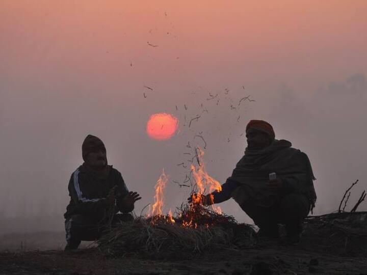 MP Weather Update today Severe cold IMD Forecast temperature dropped 3 to 4 degrees in Bhopal ANN MP Today Weather: मध्य प्रदेश में रात के साथ दिन में भी कड़ाके की सर्दी, भोपाल सहित इन जिलों में 3 से 4 डिग्री लुढ़का पारा
