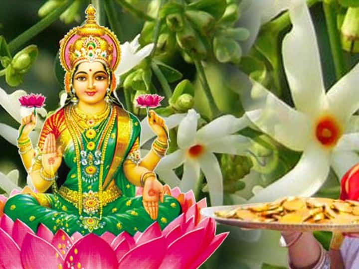 शास्त्रों के अनुसार वैसे तो एकादशी का व्रत पारण सूर्योदय के बाद सुबह के समय ही किया जाता है लेकिन इस बार ये व्रत दोपहर में खोला जाएगा. 23 दिसंबर को हरि वासर समाप्त होने का समय दोपहर 12.59 मिनट है.