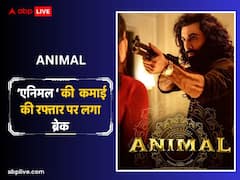 'डंकी' और 'सालार' ने ‘एनिमल’ की कमाई पर लगाया ब्रेक, चौथे फ्राइडे रणबीर की फिल्म की कमाई रही बेहद कम, जानें- कलेक्शन