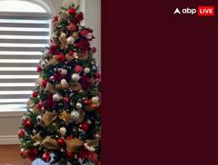 Christmas 2023: ਕ੍ਰਿਸਮਿਸ ‘ਤੇ ਇਨ੍ਹਾਂ ਚੀਜ਼ਾਂ ਨਾਲ ਸਜਾਓ ਆਪਣਾ ਘਰ, ਜਾਣੋ ਕ੍ਰਿਸਮਿਸ ‘ਤੇ ਇਸ ਦਾ ਮਹੱਤਵ