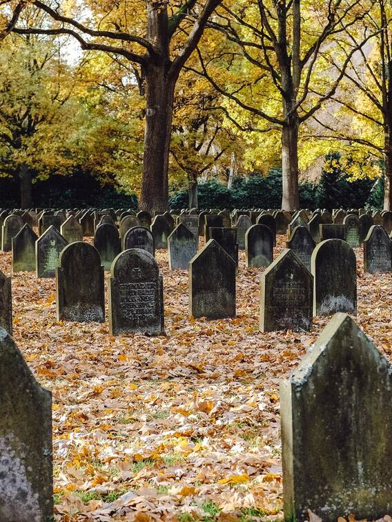 ਦੁਨੀਆ ਵਿੱਚ ਹਰ ਰੋਜ਼ ਕਿੰਨੀਆਂ ਮੌਤਾਂ ਹੁੰਦੀਆਂ ਨੇ ?