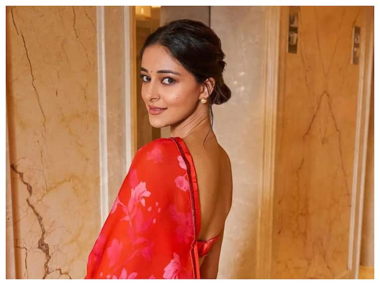 Social Media Is A Curse Because It Dilutes Your Star Power On Screen: Ananya Panday Social Media Is A Curse Because It Dilutes Your Star Power On Screen: Ananya Panday