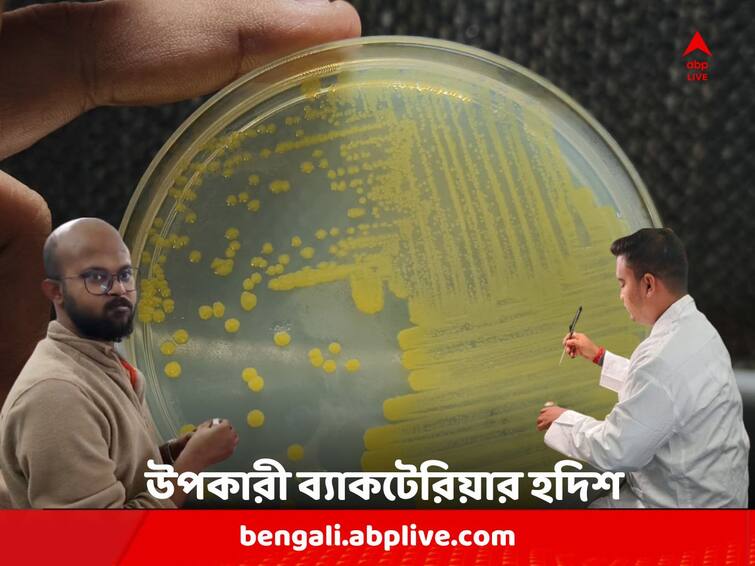 Botany department of Visva Bharati University found bacteria which will be helpful in paddy cultivation Visva Bharati University: ধান চাষে মিলবে সাহায্য, খরচ কমবে সারে ; উপকারী ব্যাকটেরিয়া আবিষ্কার বিশ্বভারতীর উদ্ভিদবিদ্যা বিভাগের