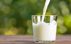 Health Tips: રાત્રે દૂધ પીવું ફાયદાકારક છે કે સવારે ? જાણો