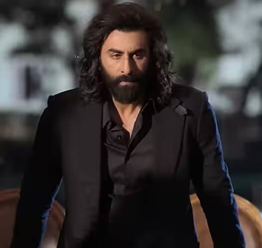 घरेलू बॉक्स ऑफिस पर भी रणबीर कपूर की 'एनिमल' का जलवा बरकरार है. 22 दिनों में फिल्म ने भारत में 532.03 करोड़ रुपये का कलेक्शन कर लिया है.